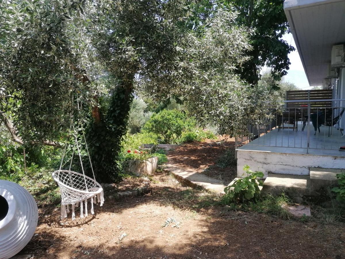 Alexander Apartament Spartia (Kefalonia)
